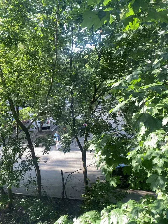 3-к. квартира, 57 м, 2/5 эт. - Фото 0