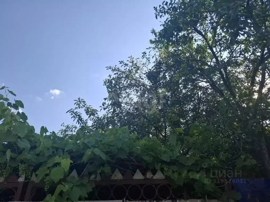 Участок в Белгородская область, Белгородский район, с. Стрелецкое, ... - Фото 1