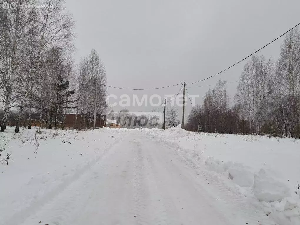 Участок в Новосибирский район, Барышевский сельсовет, посёлок Двуречье ... - Фото 2