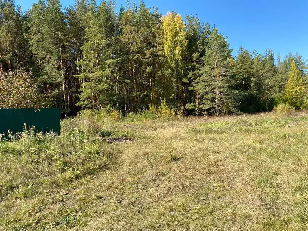 Участок в Свердловская область, Белоярский муниципальный округ, д. ... - Фото 1