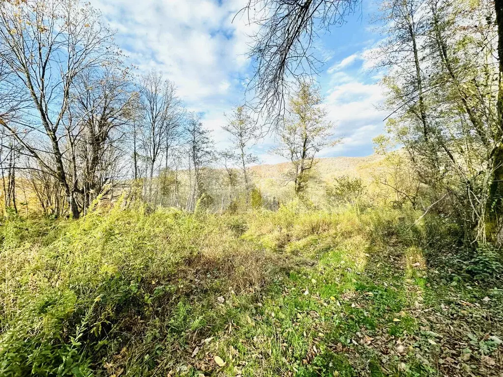 Участок в Краснодарский край, городской округ Сочи, село ... - Фото 2