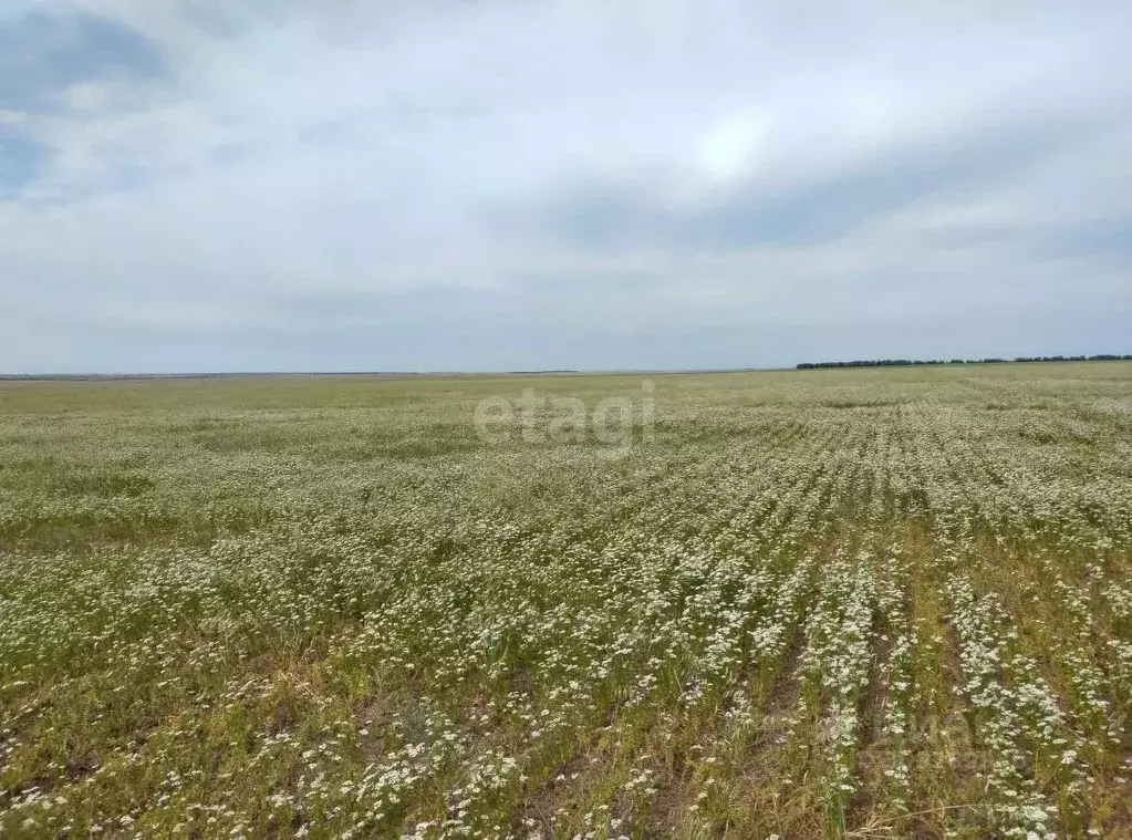 Участок в Крым, Сакский район, с. Штормовое ул. Ленина (5.0 сот.) - Фото 1