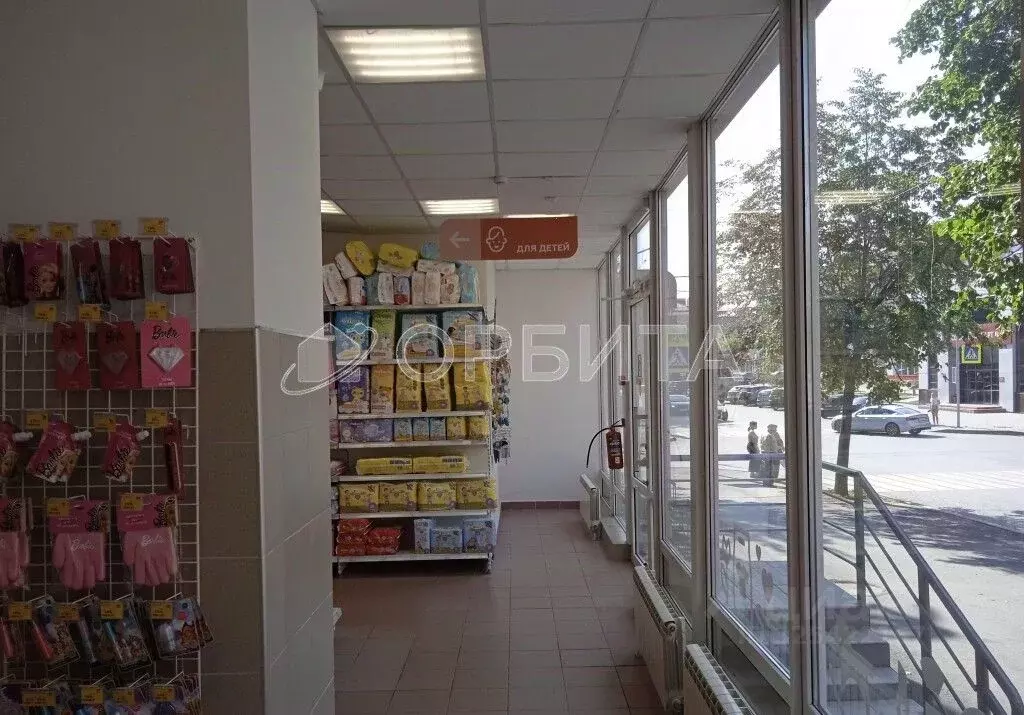 Торговая площадь в Курганская область, Курган ул. Кирова, 48 (1506 м) - Фото 2