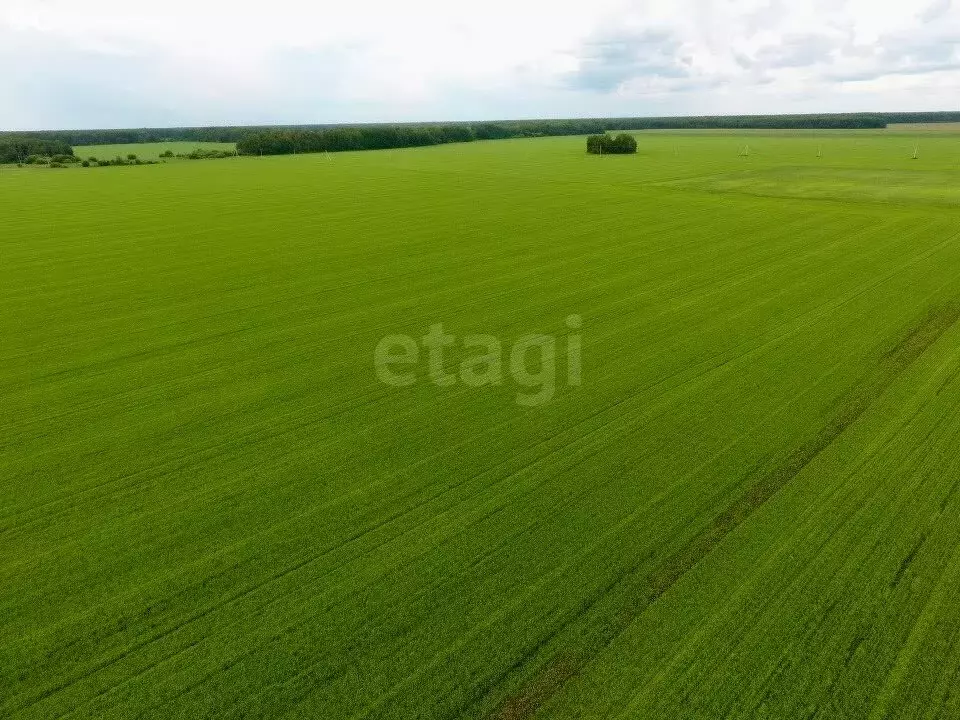 Участок в Тюменский район, село Горьковка (6.26 м) - Фото 1