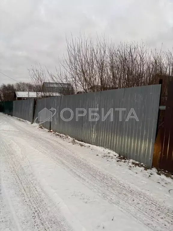 Участок в Тюменская область, Тюмень Электрон СНТ, ул. Соловьиная, 6 ... - Фото 2