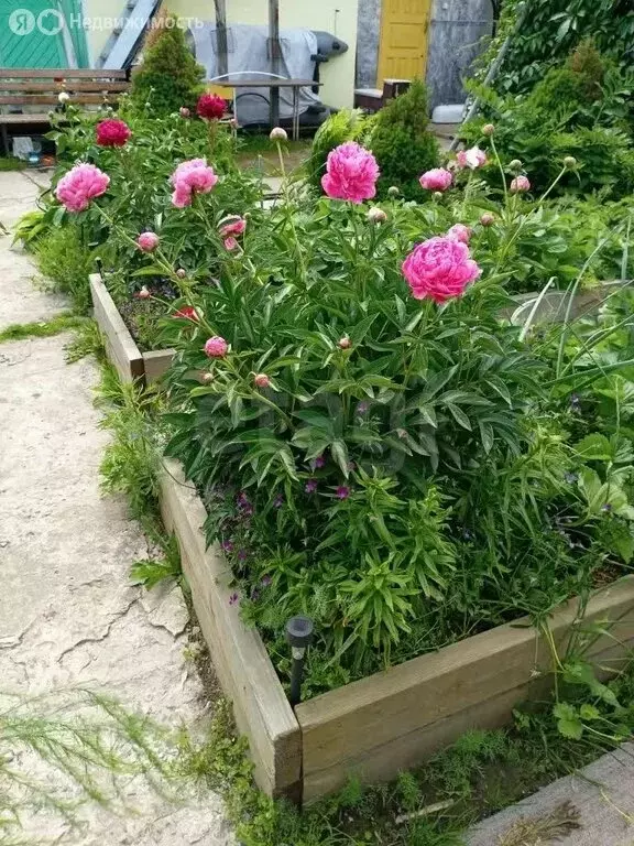 Дом в Тюменская область, Тобольский муниципальный округ, садоводческое ... - Фото 1