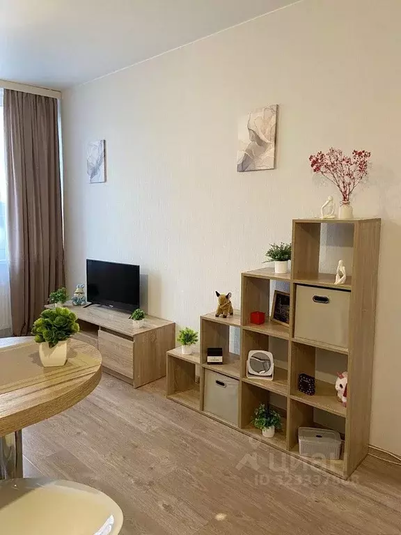 Студия Московская область, Лыткарино 6-й мкр, 33 (25.0 м) - Фото 1