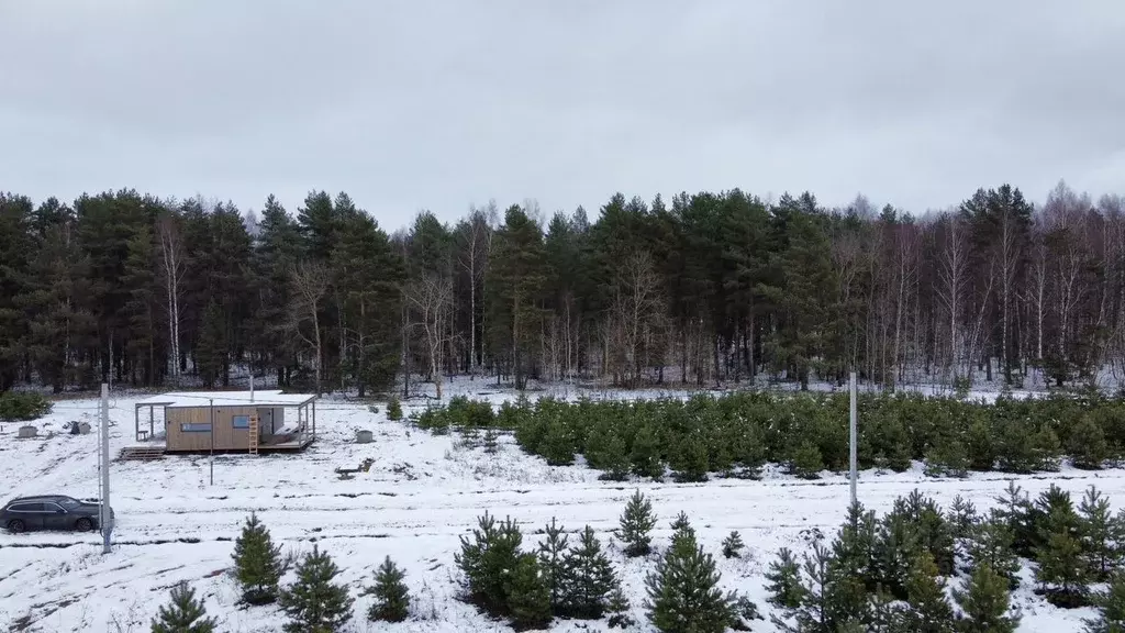 Участок в Московская область, Клин городской округ, д. Новощапово  ... - Фото 0