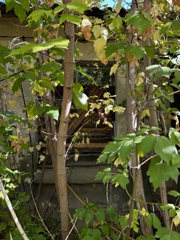 Помещение свободного назначения в Саратовская область, Шиханы  (32 м) - Фото 2