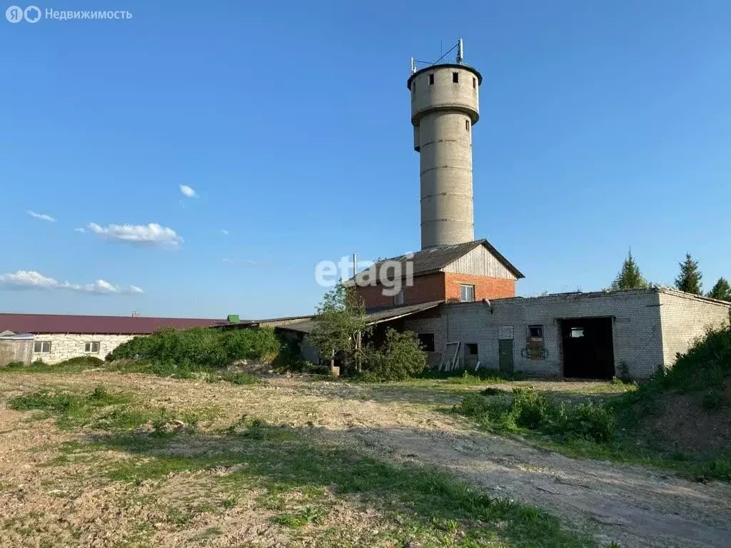 Участок в Ленинградская область, Гатчинский муниципальный округ, ... - Фото 2