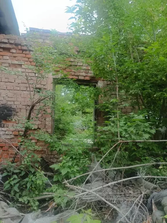 Помещение свободного назначения в Иркутская область, Иркутск ул. ... - Фото 2