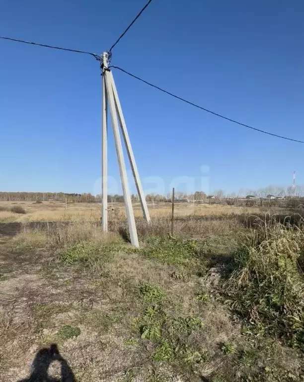 Участок в Курганская область, Шадринский муниципальный округ, с. Ключи ... - Фото 2
