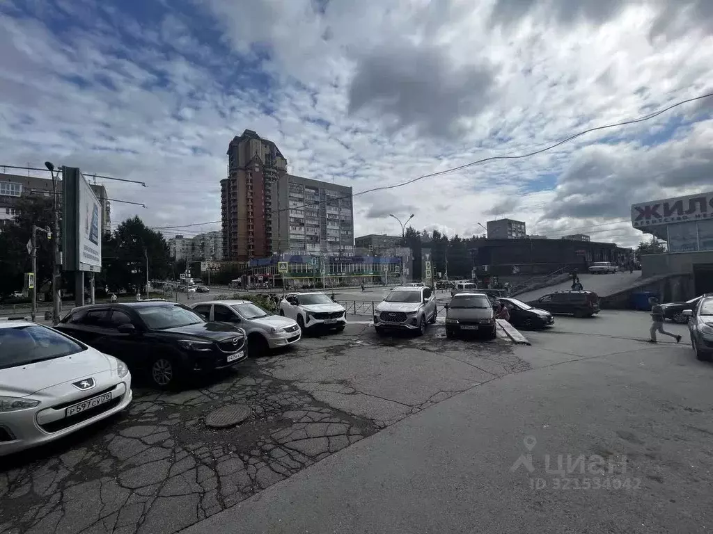 Помещение свободного назначения в Новосибирская область, Новосибирск ... - Фото 1