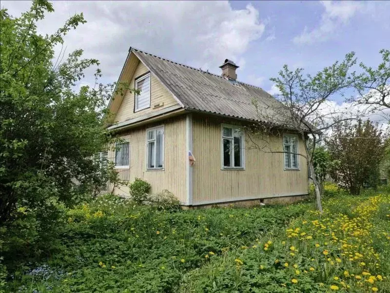 Дом в Ленинградская область, Лужский район, Мшинское с/пос, Дивенская ... - Фото 0