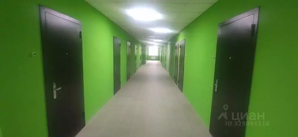 Студия Новосибирская область, Новосибирск Северный мкр, ул. ... - Фото 1