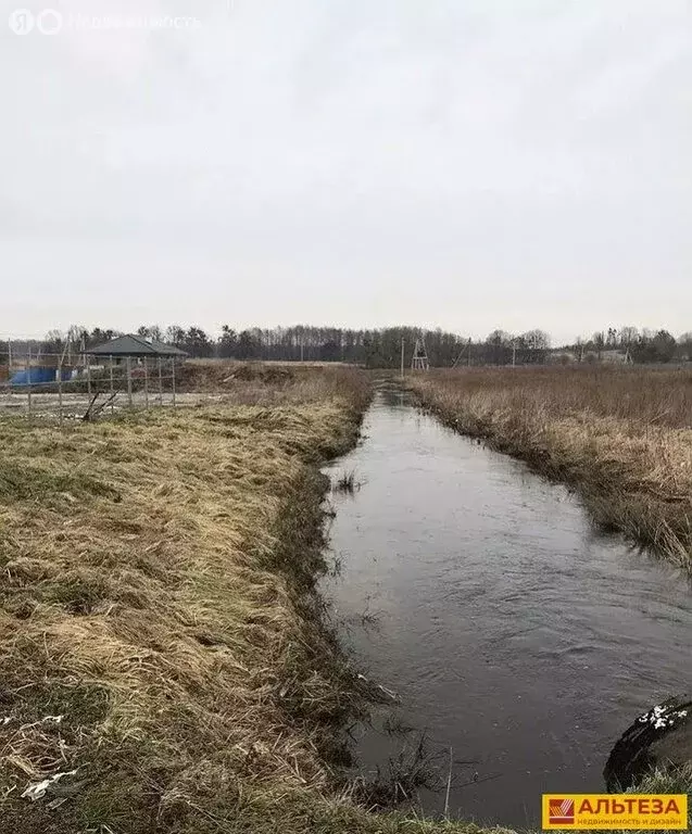 Участок в Калининградская область, Гурьевский муниципальный округ, ... - Фото 1