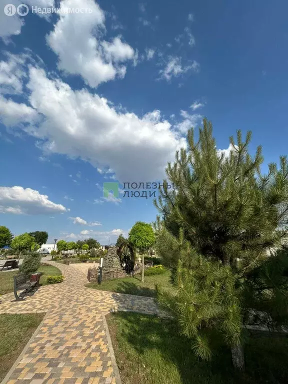 Участок в Столбовое, Молодёжная улица, 15 (10 м) - Фото 1