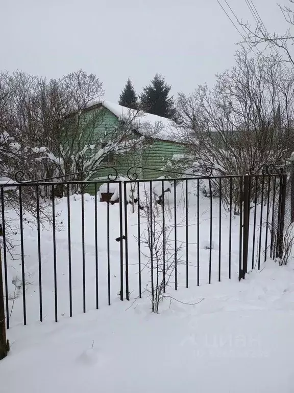 Участок в Ленинградская область, Выборгский район, Первомайское с/пос, ... - Фото 2