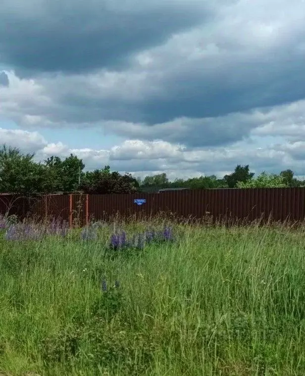 Участок в Московская область, Орехово-Зуевский городской округ, д. ... - Фото 1