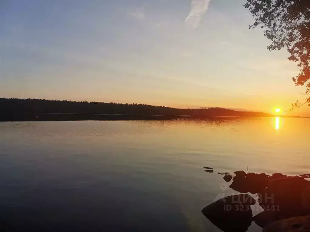 Дом в Ленинградская область, Выборгский район, Приморское городское ... - Фото 2