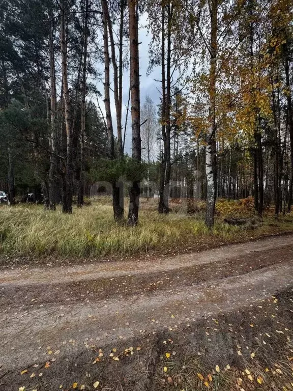 Участок в Брянская область, Брянский район, Свенское с/пос, пос. Свень ... - Фото 1