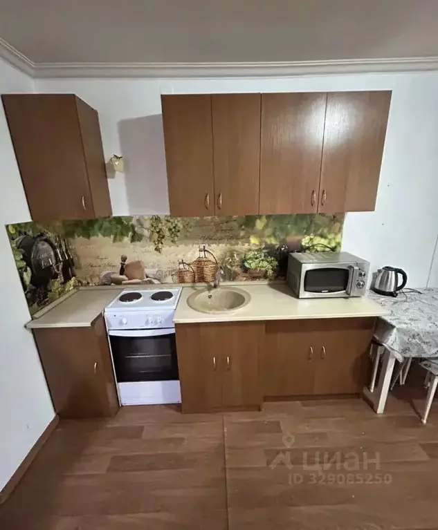 1-к кв. Самарская область, Тольятти ул. Победы, 39 (19.0 м) - Фото 2