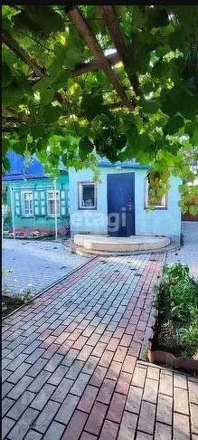 Дом в Амурская область, Благовещенский район, с. Усть-Ивановка ул. ... - Фото 2