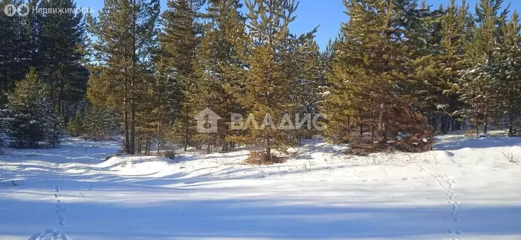 Участок в Улан-Удэ, Беловежская улица (4 м) - Фото 2