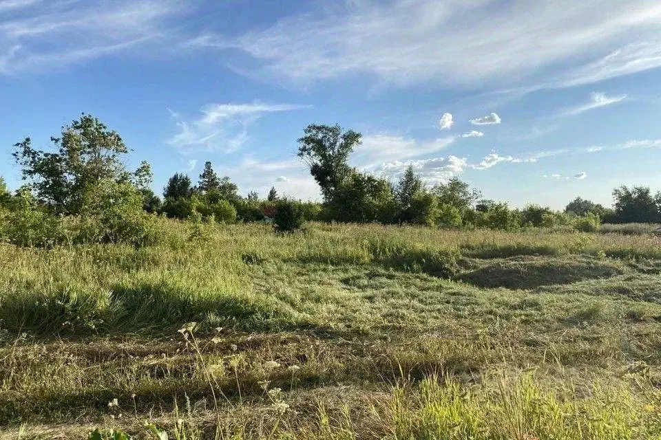 Участок в Челябинская область, Агаповский муниципальный округ, пос. ... - Фото 2