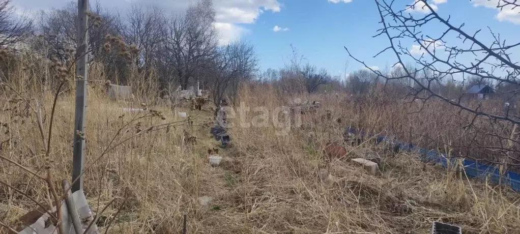 участок в амурская область, благовещенск (6.0 сот.) - Фото 1