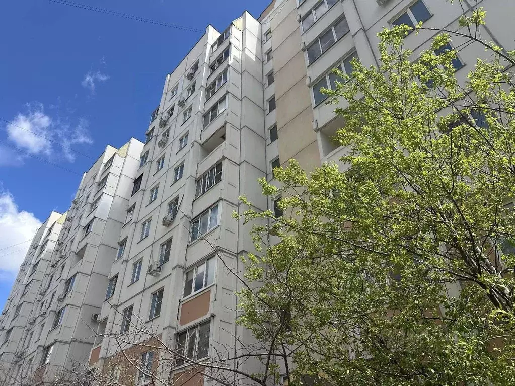 1-к кв. Воронежская область, Воронеж ул. 9 Января, 241/1 (35.0 м) - Фото 1
