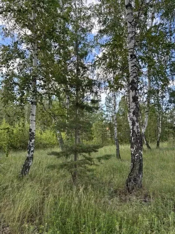 участок в курганская область, кетовский муниципальный округ, д. лукино . - Фото 1