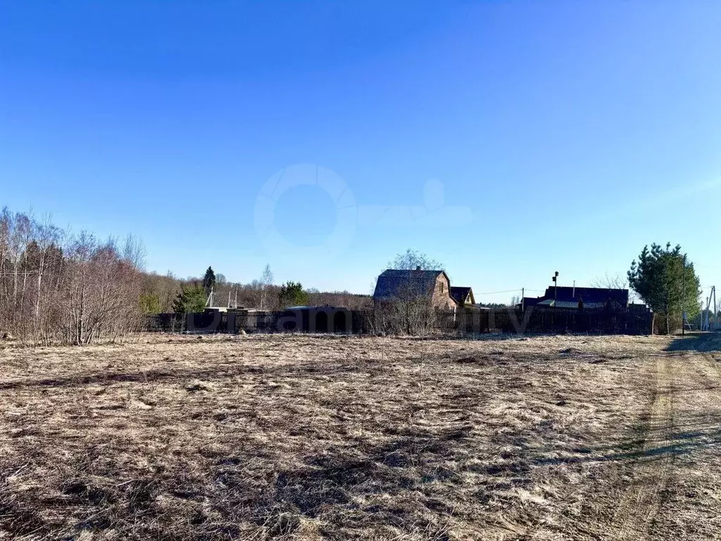 Участок в Московская область, Рузский муниципальный округ, д. Мамошино ... - Фото 2