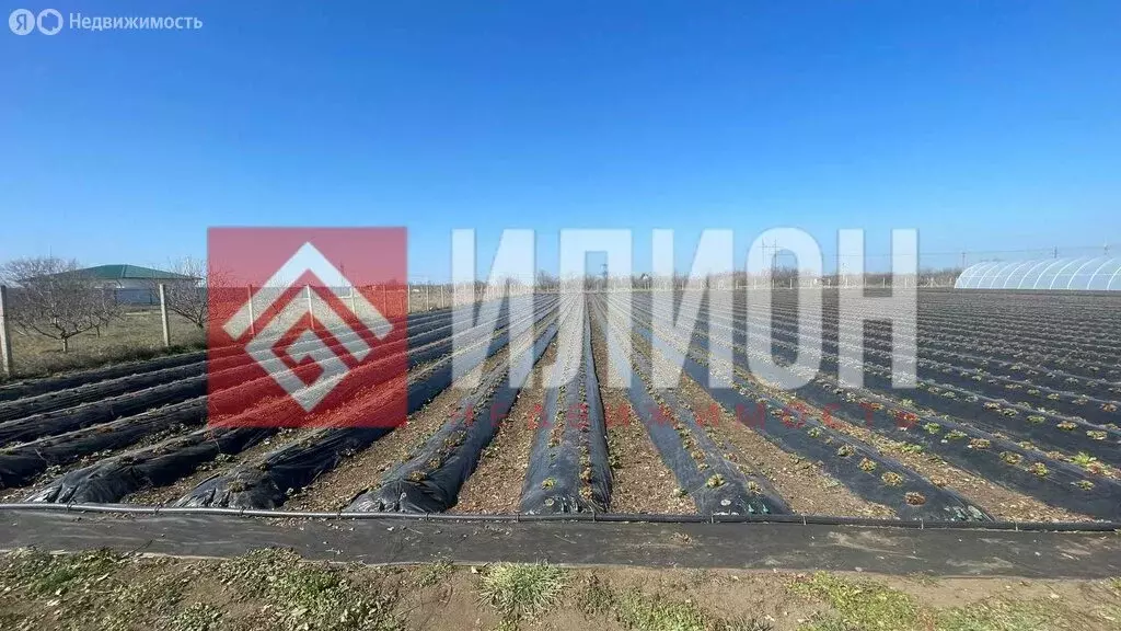 Участок в Журавское сельское поселение, село Тутовка, улица Бахт, 41 ... - Фото 2