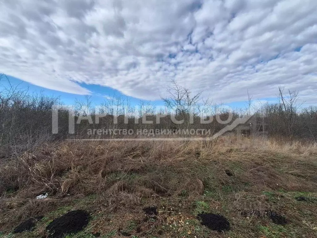 Участок в Краснодарский край, Северский район, Ильское городское ... - Фото 2