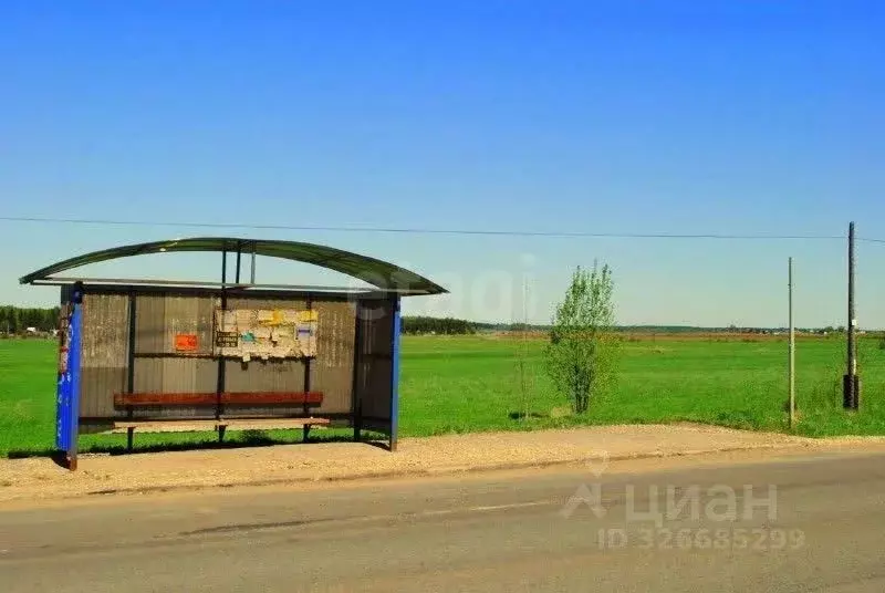 Участок в Кировская область, Киров городской округ, д. Гуси ул. ... - Фото 2