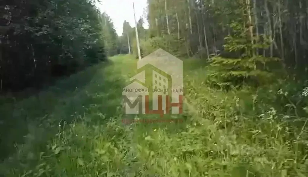 Участок в Тверская область, Конаковский муниципальный округ, Березка ... - Фото 1