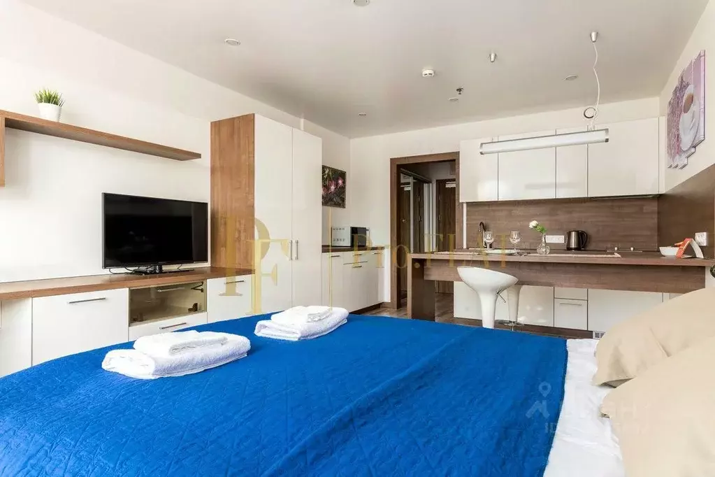 Студия Санкт-Петербург ул. Хошимина, 16А (28.2 м) - Фото 2