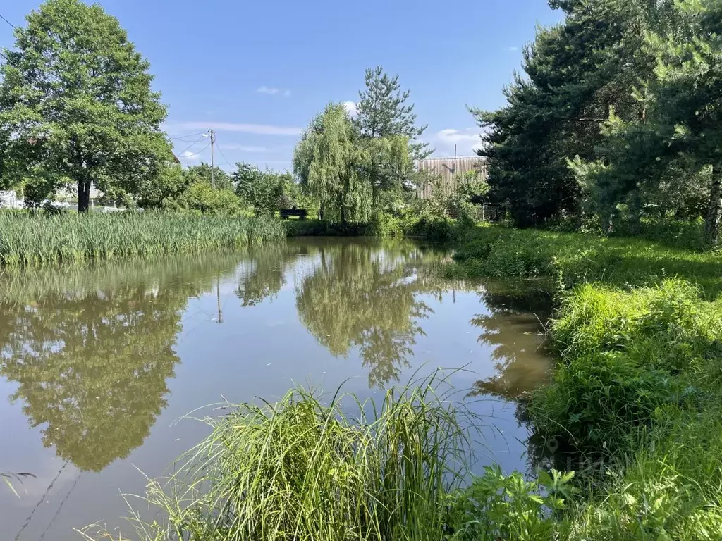 Участок в Московская область, Раменский муниципальный округ, д. ... - Фото 1