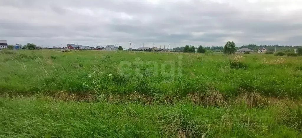 Участок в Вологодская область, Шекснинский муниципальный округ, д. ... - Фото 0