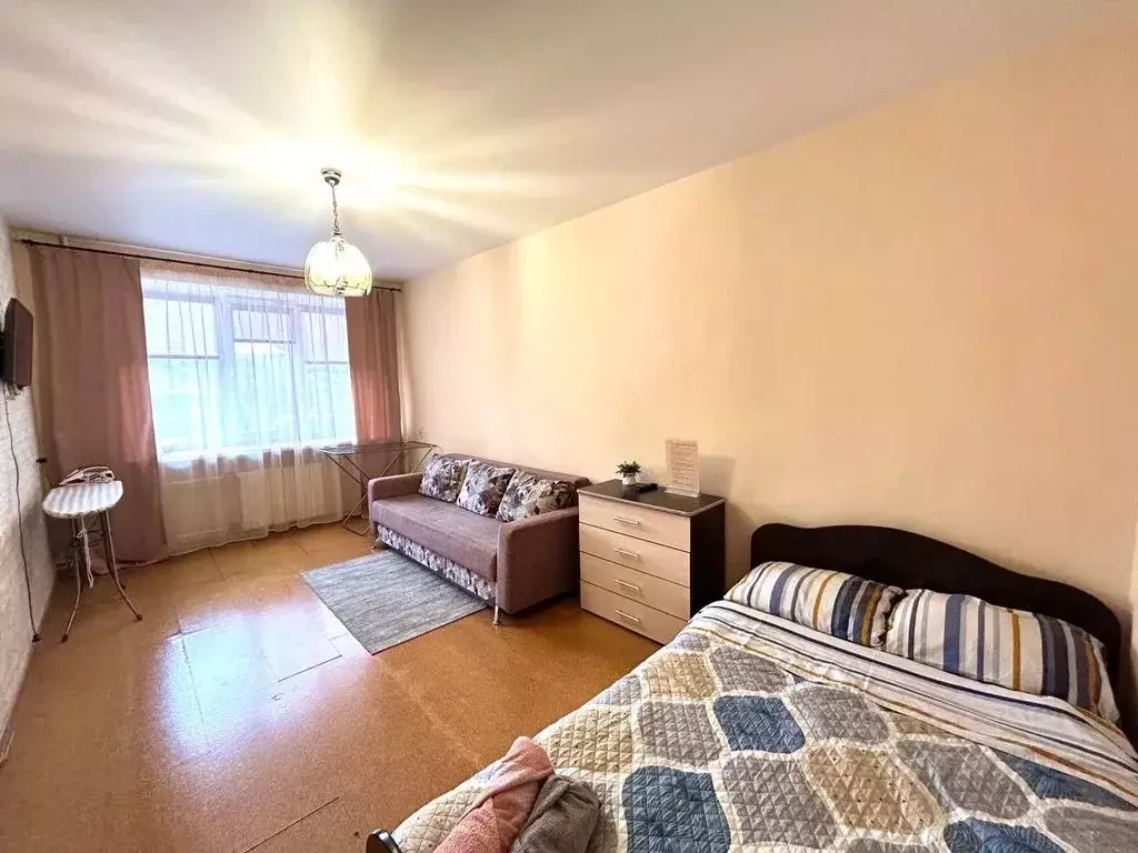 1-к кв. Красноярский край, Красноярск ул. Ленина, 11 (33.0 м) - Фото 1