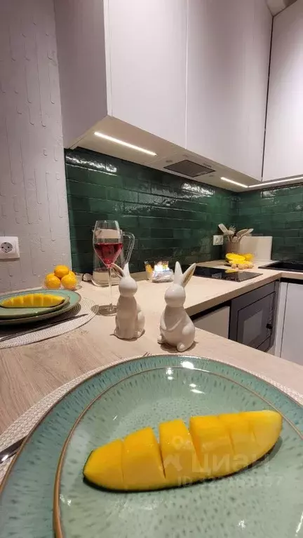 Студия Краснодарский край, Геленджик Туристическая ул., 4Гк2А (23.0 м) - Фото 1