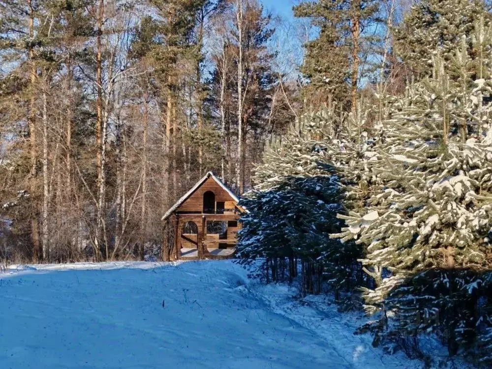 Участок в Иркутская область, Иркутский муниципальный округ, пос. ... - Фото 1