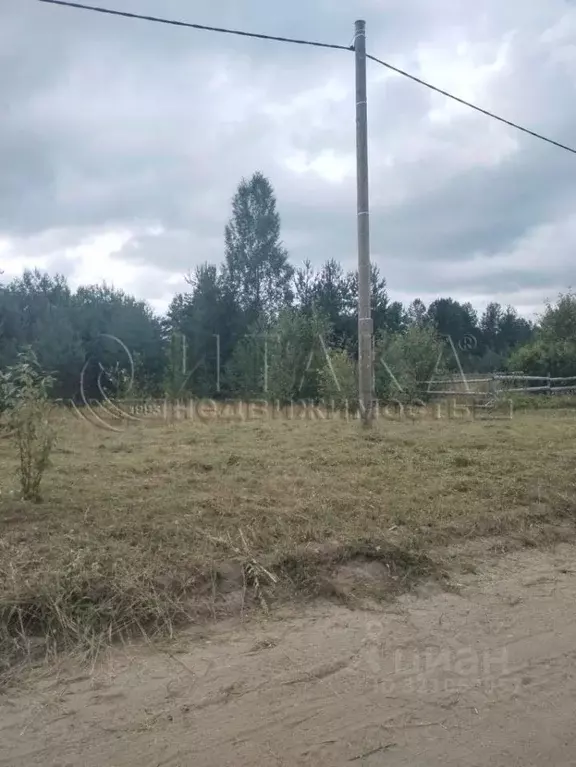 Участок в Ленинградская область, Лодейное поле ул. ... - Фото 1