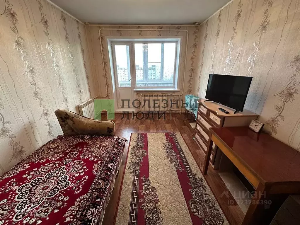 2-к кв. Курганская область, Курган ул. Отдыха, 53 (50.3 м) - Фото 1