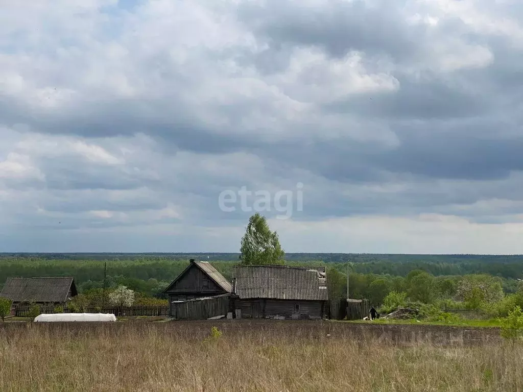 Участок в Брянская область, Трубчевский район, Юровское с/пос, д. ... - Фото 1