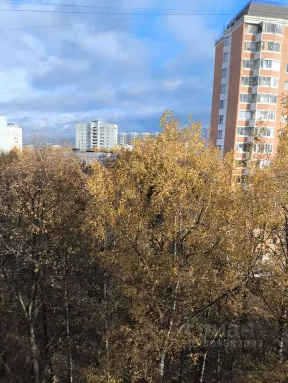 Комната Москва Беловежская ул., 61 (31.3 м) - Фото 1