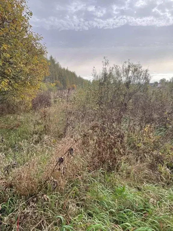 Участок в Московская область, Воскресенск городской округ, д. Губино ... - Фото 0