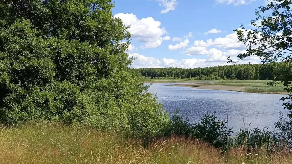 Участок в Нижегородская область, Сокольский муниципальный округ, д. ... - Фото 2