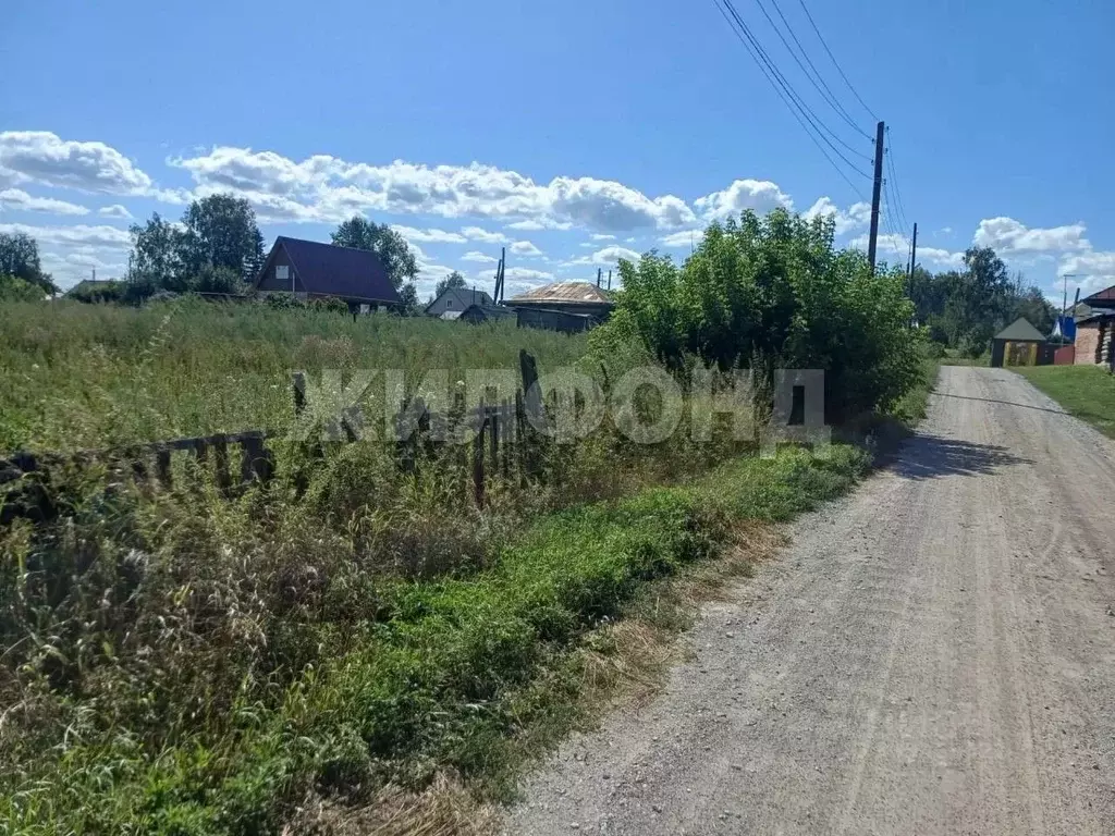 Участок в Новосибирская область, Ордынский район, с. Вагайцево ул. ... - Фото 2